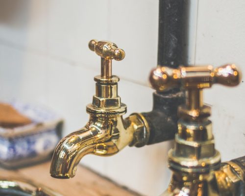 pexels-dominika-roseclay-1021872